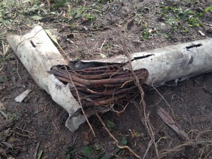 Pipe blocked with tree roots